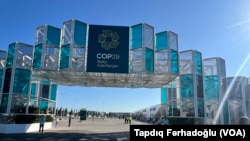 COP29 