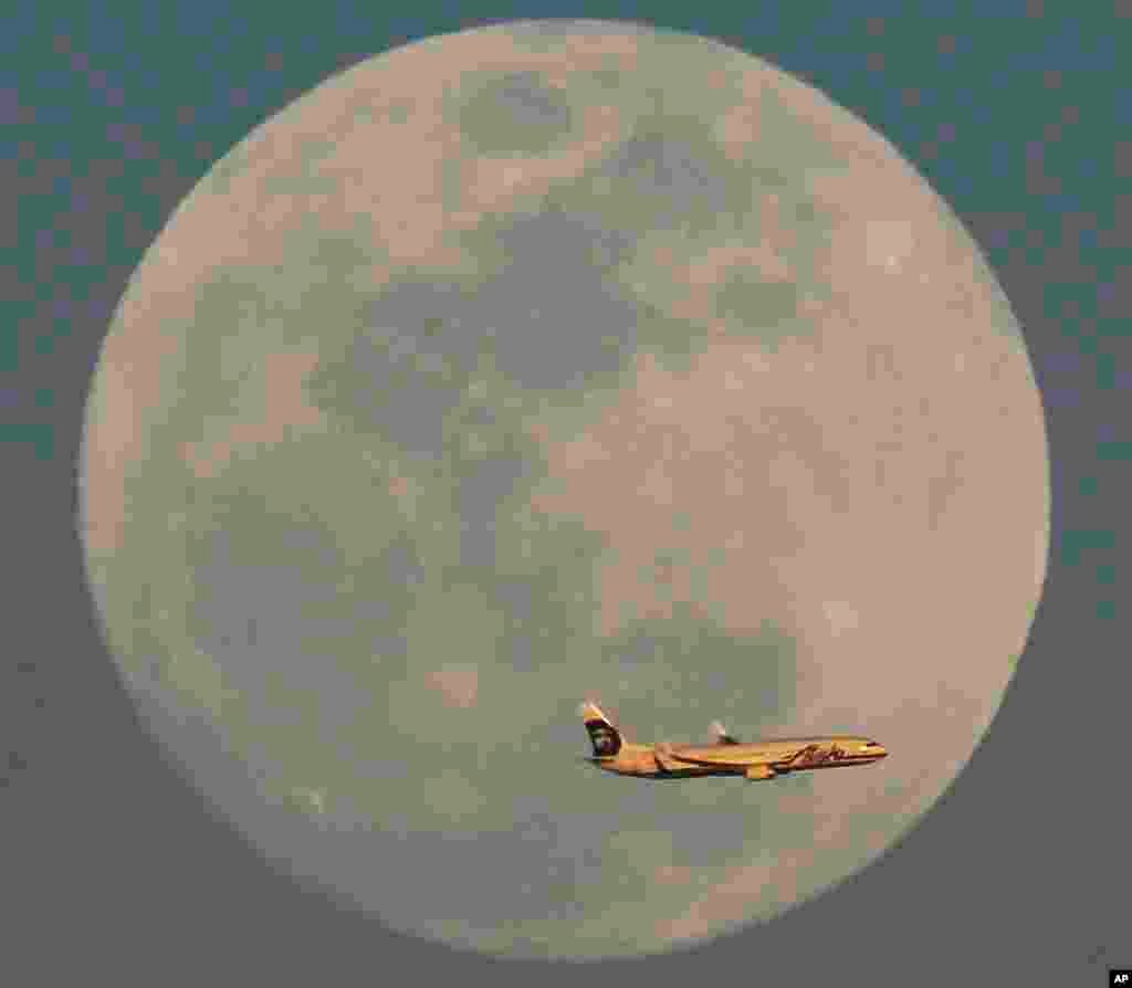 A Alaska Airlines flight passes by the rising moon in Phoenix, Arizona, USA, Feb. 21, 2016.