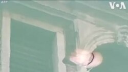 Վենետիկի ջրանցքների էկոհամակարգը տեսանելի է թափանցիկ ջրերում