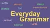 Everyday Grammar: Irregular Plurals