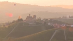 အကောင်းဆုံး အီတလီဝိုင်ထွက်ရာ Piedmont ဒေသ