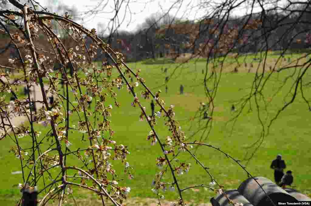 Bajar&#234; New York di Serdema V&#238;rusa Korona de