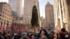 Una grúa levanta el árbol de Navidad que este año adornará el Rockefeller Center, en Nueva York, el 9 de noviembre de 2024