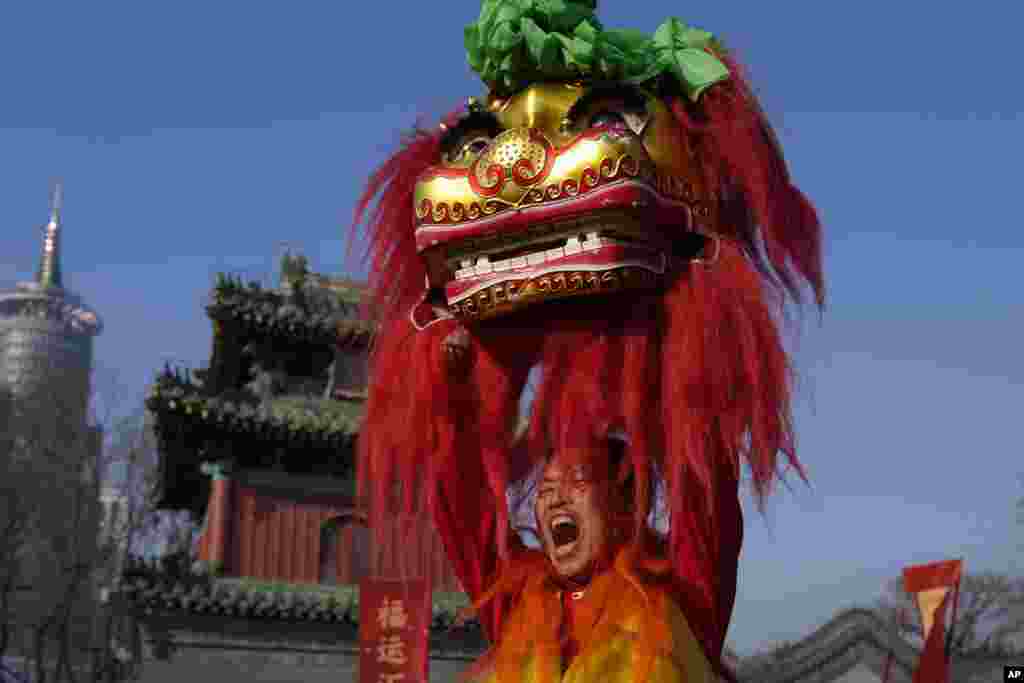 An artist shouts as he performs an acrobatic lion dance at the Dongyue Temple on the first day of the Chinese Lunar New Year in Beijing.