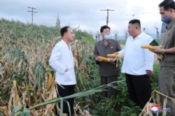 김정은 북한 국무위원장이 황해남도 태풍 피해 지역을 방문했다고, 지난해 8월 관영매체가 전했다.