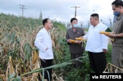 김정은 북한 국무위원장이 황해남도 태풍 피해 지역을 방문했다고, 27일 관영매체가 전했다.