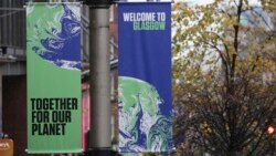 ONU Conferencia del Clima COP26