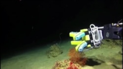 柔软机器人海底温柔探秘