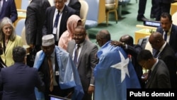 Wasiirka Arrimaha Dibadda iyo Danjiraha Somalia ee UN-ka