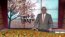 Բարի Լույս. Արամ Ավետիսյան