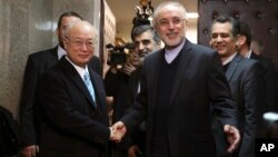 Ketua Program Nuklir Iran, Ali Akbar Salehi (kanan) menerima kunjungan Direktur IAEA Yukiya Amano di Teheran, Iran (foto: dok). 