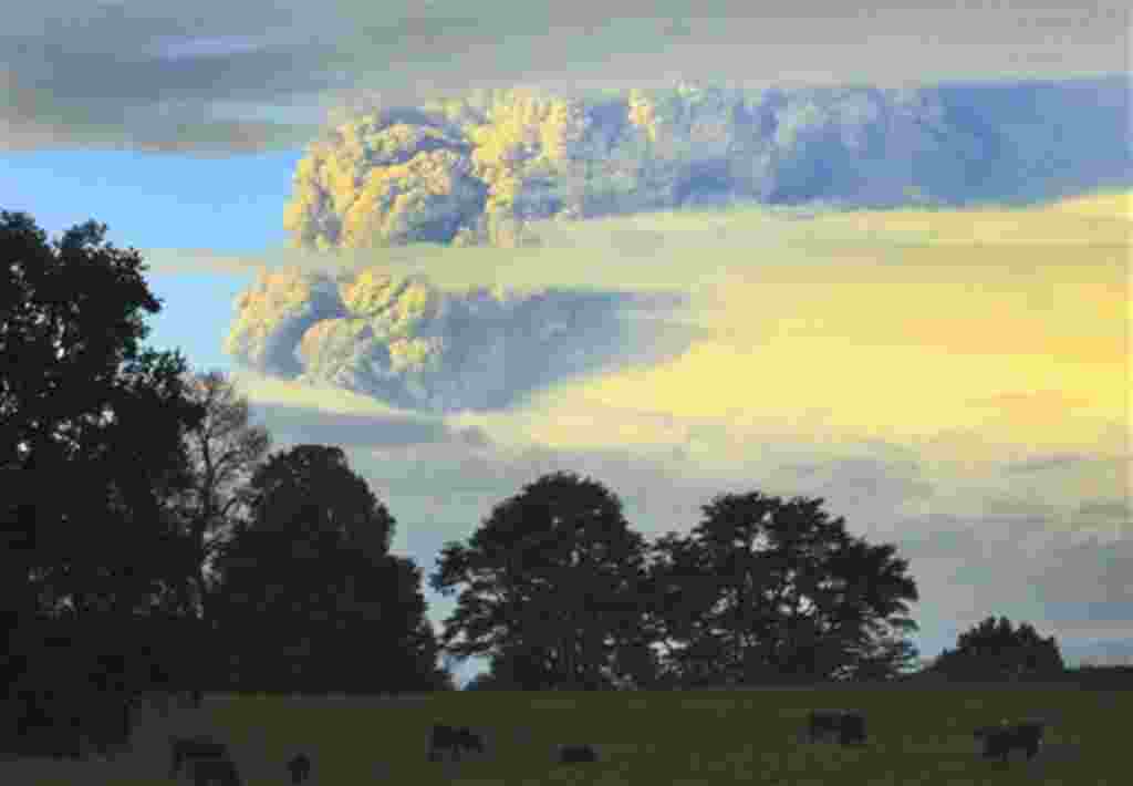 Una columna de humo y cenizas sale del volcán Puyehue, a unos 1.100 kilómetros al sur de Santiago de Chile, 4 de junio 2011. Las autoridades han evacuado a unas 600 personas que viven cerca del volcán.