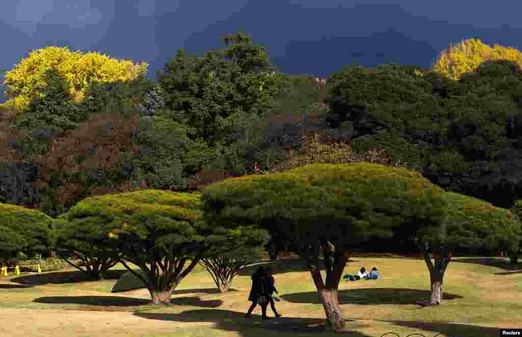 Orang-orang berjalan melalui Taman Nasional Gyoen Shinjuku pada suatu hari pada musim gugur yang cerah di Tokyo, Jepang. &nbsp;