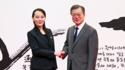 VOA连线(金珍镐)：平昌冬奥会，朝鲜的外交攻势成功与否？