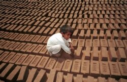 파키스탄 킬른의 벽돌 공장에서 일하는 어린이.