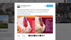 VOA连线：奥巴马任期最后一次赦免火鸡