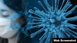 Koronavirus
