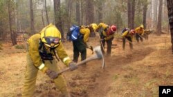 Para petugas pemadam kebakaran menggali lubang pembatas api untuk melindungi taman nasional Yosemite dari kebakaran hutan (25/8). 