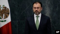 Ministro de Relaciones Exteriores de México, Luis Videgaray.