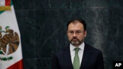 "México rechaza, por supuesto, como un tema inamistoso, como un acto hostil la continuación de la construcción de un muro fronterizo entre México y Estados Unidos", dijo el Secretario de RR.EE. mexicano Luis Videgaray.