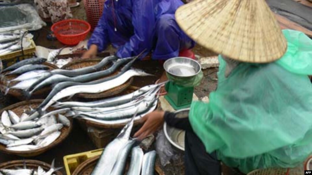 Chợ cá trên đảo Lý Sơn