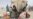 Refugees Fleeing Boko Haram Raids Flood Niger's Diffa Region