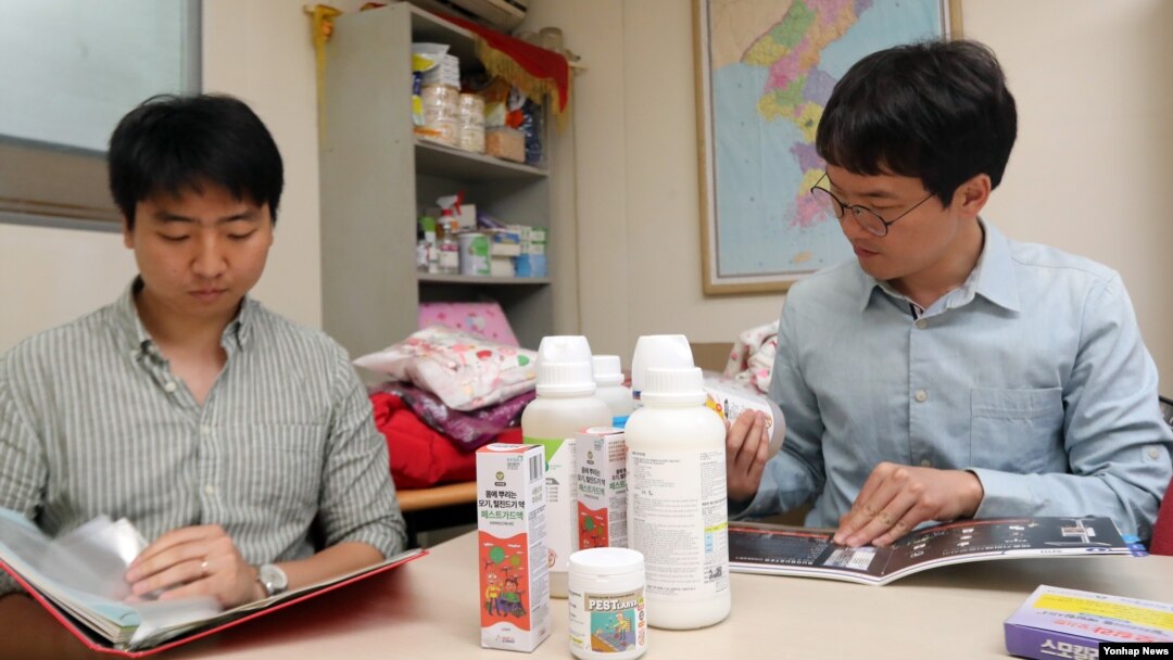 Petugas KSM (Korean Sharing Movement) di Seoul, Korea Selatan, tengah memeriksa obat-obatan untuk pencegahan malaria yang rencananya akan dikirimkan ke Korea Utara, 26 Mei 2017 (Foto: dok).