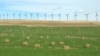 Canada Loses WTO Appeal in Renewable Energy Case