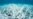 UN Puts Australia on Notice: Do More to Save Reef