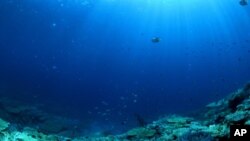 Un nuevo mapa del fondo del mar revela secretos inesperados.