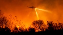 Sebuah helikopter menjatuhkan air saat memadamkan Kebakaran Mobil di Ventura County, California, pada Senin, 13 Januari 2025. (Noah Berger/AP)