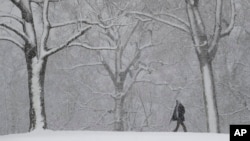 Fairmont Park, pendant la tempête de neige du 10 mars 2017 à Philadelphie, Pennsylvanie. (AP Photo/Matt Slocum)