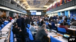 Delegates meet in the plenery hall for the COP16 biodiversity conference at the UN's Food and Agriculture Organization headquarters in Rome, Feb. 25, 2025.