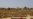Libyan Rebels: Street Fighting Engulfs Brega