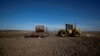 With World Facing a Wheat Shortage, Argentina Farmers Struggle