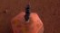 FILE - This photo, provided by NASA Jet Propulsion Laboratory, shows the new Mars lander placing a quake monitor on the planet’s dusty red surface. The unprecedented milestone occurred less than a month after Mars InSight’s touchdown. 