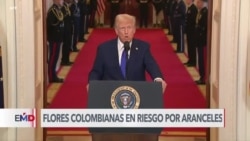 Exportadores de flores colombianas alertan impacto de posibles aranceles en EEUU