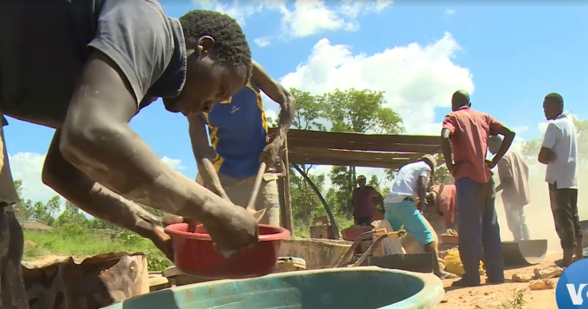 Pandemic Spurs Illegal Gold Rush in Zimbabwe Mountains