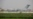US deportation flight carrying undocumented Indian migrants lands in Punjab