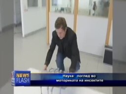 Моториката на инсектите