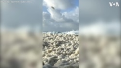 Storm Washes Sea Foam Ashore in France 