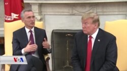 Civîna Trump û Stoltenberg û Sibêroja NATO