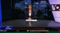 Ditari - PD mes Kuvendit të Bashës dhe Referendumit të Berishës