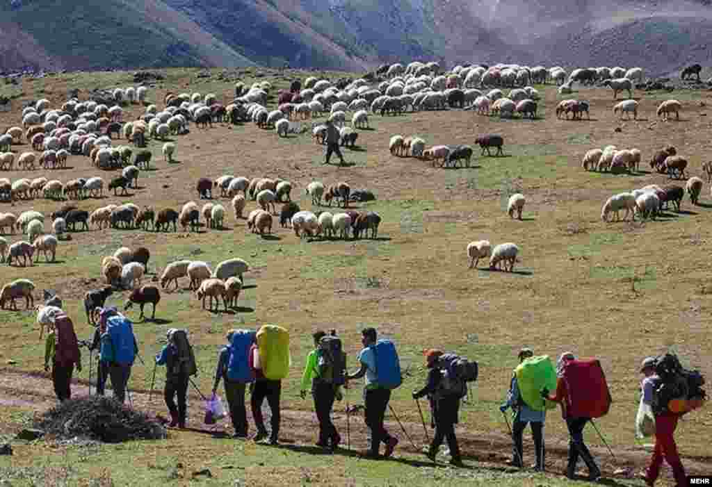مازیچال نام دهکده‌ای زیبا در نزدیکی کلاردشت مازندران عکس: عرفان کوچاری