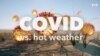 Explainer: COVID vs Hot Weather 