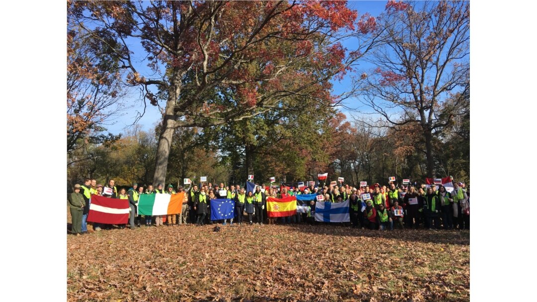 EU countries’ representatives joined National Park Service staff and volunteers from Casey Trees to plant oak, holly, tuliptree and American elm trees at Montrose Park in northwest Washington, Nov. 15, 2019. (Natalie Liu/VOA)