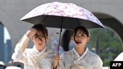 韩国首都首尔景福宫内，身穿传统韩服的游客撑起阳伞躲避烈日。(2026年8月3日)