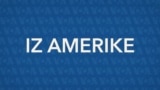 Iz Amerike 234 | Požari u Kaliforniji; Tramp, Grenland i Panama; Nafta; Potvrda Trampove nominacije