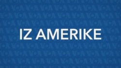 Iz Amerike 234 | Požari u Kaliforniji; Tramp, Grenland i Panama; Nafta; Potvrda Trampove nominacije