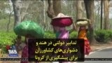تدابیر دولتی در هند و دشواری‌های کشاورزان برای پیشگیری از کرونا